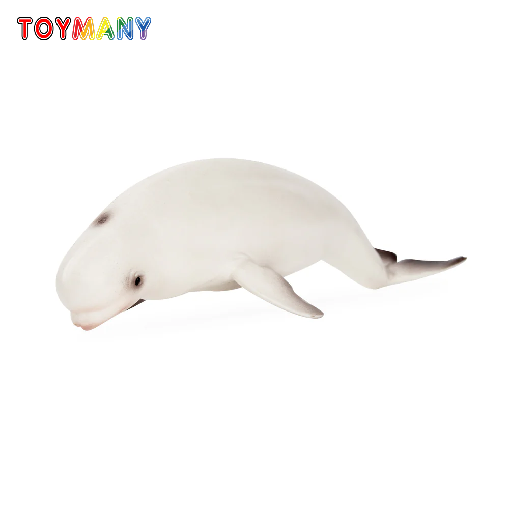 Toymany Simulation Beluga Whal - огляд і ціна Kids Toys Variety