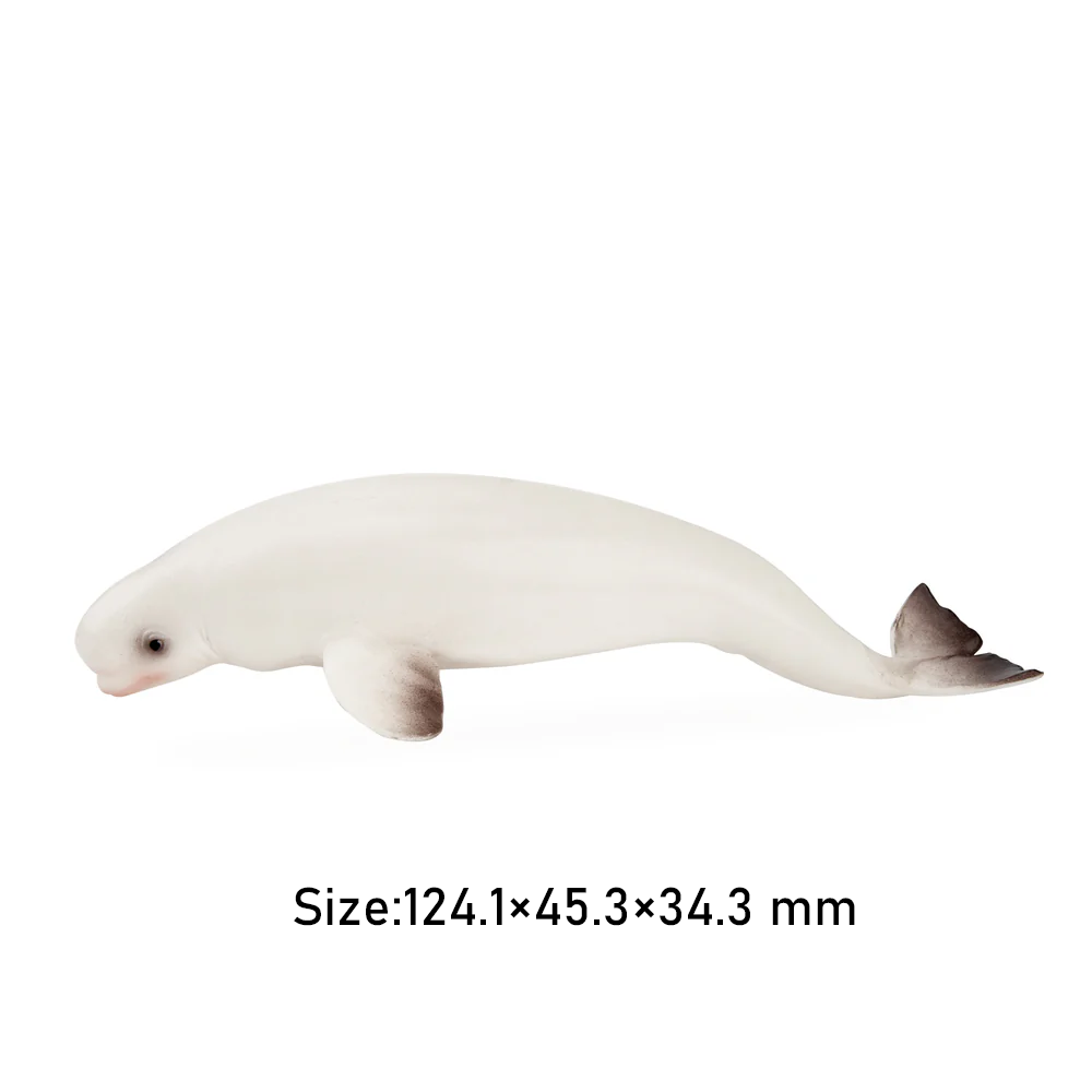 Toymany Simulation Beluga Whal - огляд і ціна Kids Toys Variety