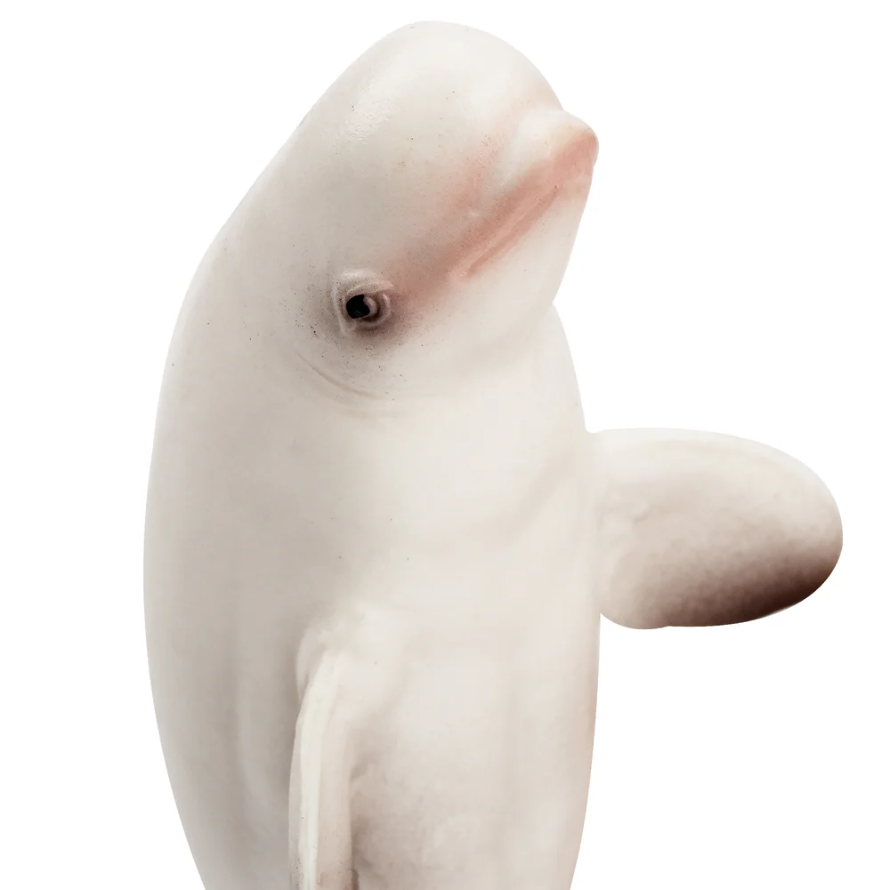 Toymany Simulation Beluga Whal - огляд і ціна Kids Toys Variety
