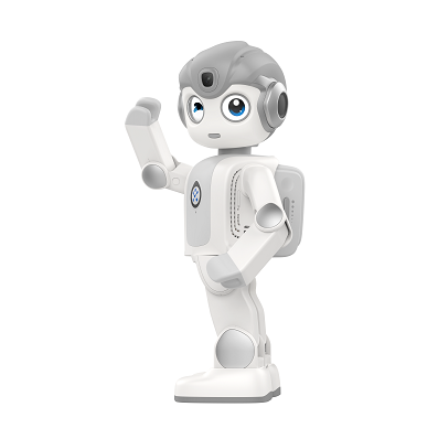 Alpha Mini High-Quality AI STE - огляд і ціна Kids Toys Manufacturers